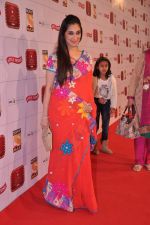 Lucky Morani at Stardust Awards 2013 red carpet in Mumbai on 26th jan 2013 (568).JPG